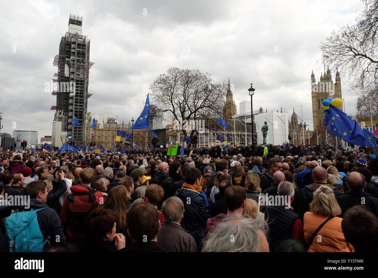 London, UK. 23rd Mar 2019. Remain supporters gathered in London and marched to Parliament Square demanding a second referendum on the issue of Brexit. The march was organized under the banner of People's Vote. Credit: Angus MacKinnon/Alamy Live News Stock Photo