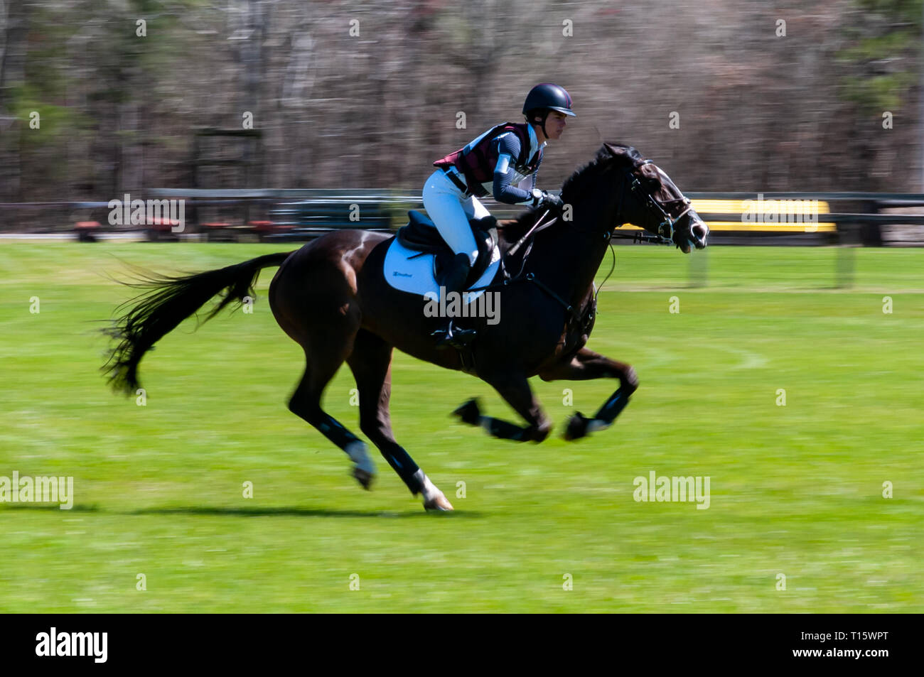 Raeford, North Carolina, USA. 22nd Mar, 2019. March 23, 2019 Raeford