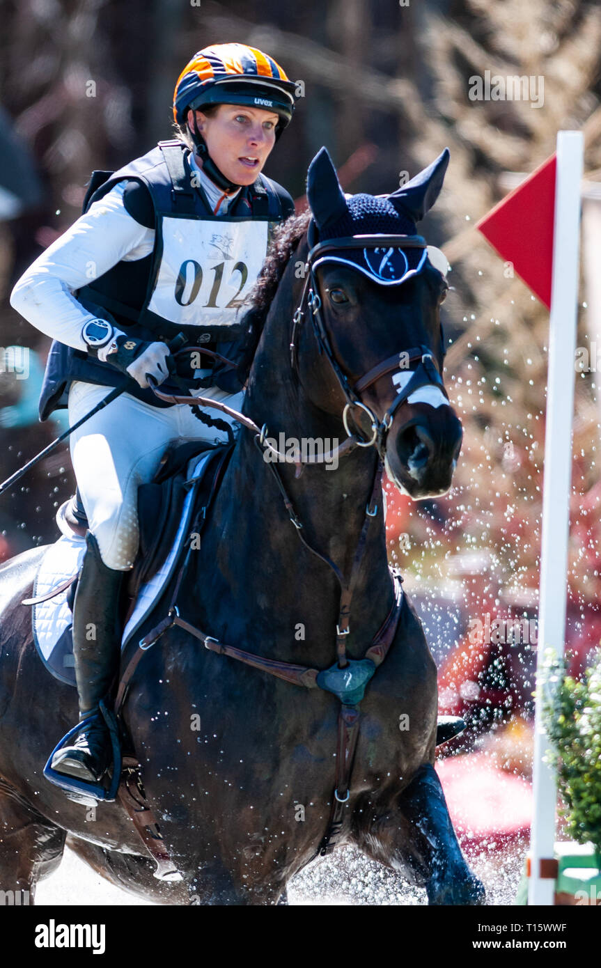 Liz halliday sharp hi-res stock photography and images - Alamy