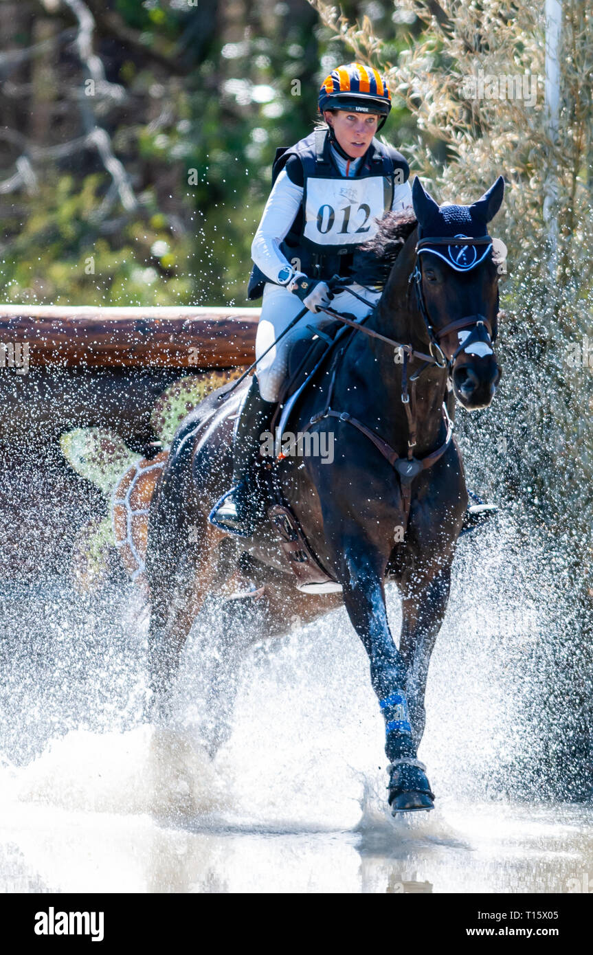 Liz halliday sharp hi-res stock photography and images - Alamy