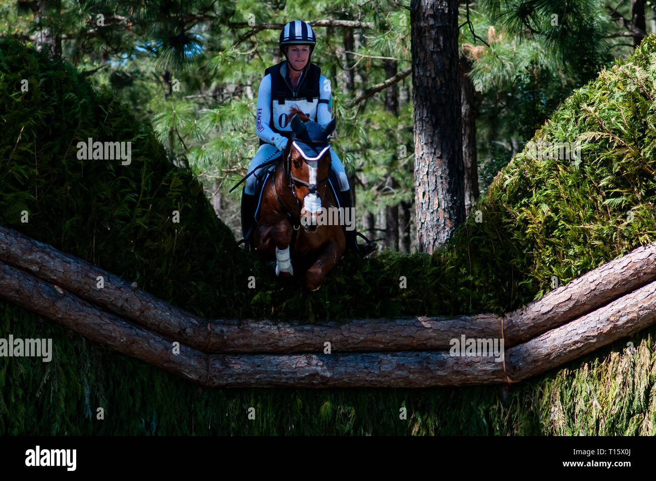 Raeford, North Carolina, USA. 22nd Mar, 2019. March 23, 2019 Raeford