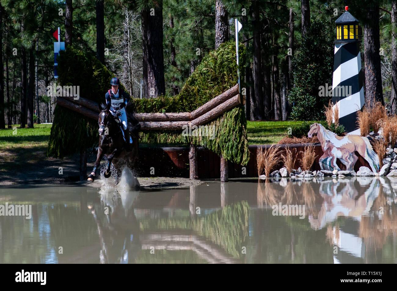 Raeford, North Carolina, USA. 22nd Mar, 2019. March 23, 2019 Raeford