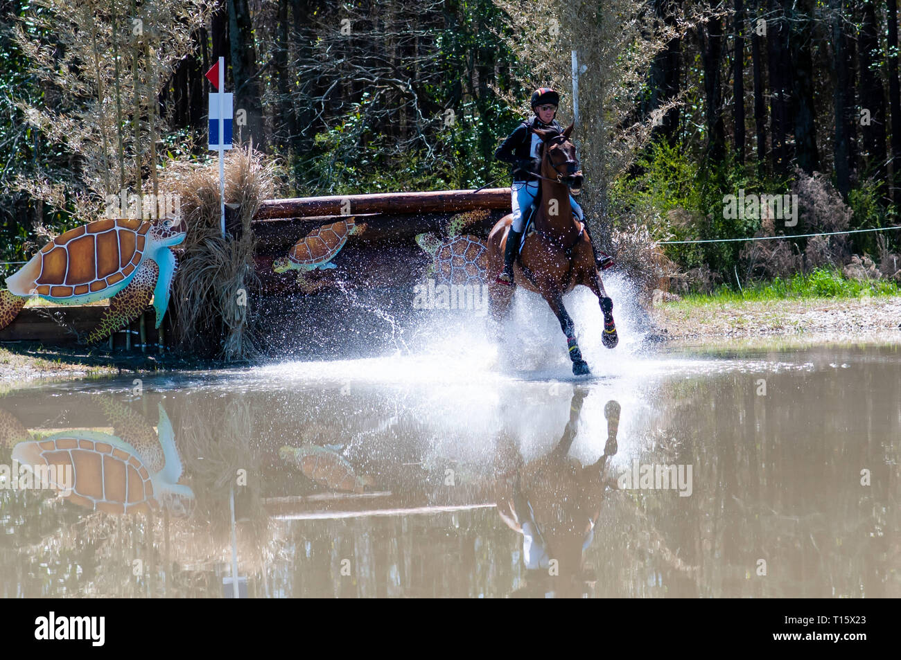 Raeford, North Carolina, USA. 22nd Mar, 2019. March 23, 2019 Raeford