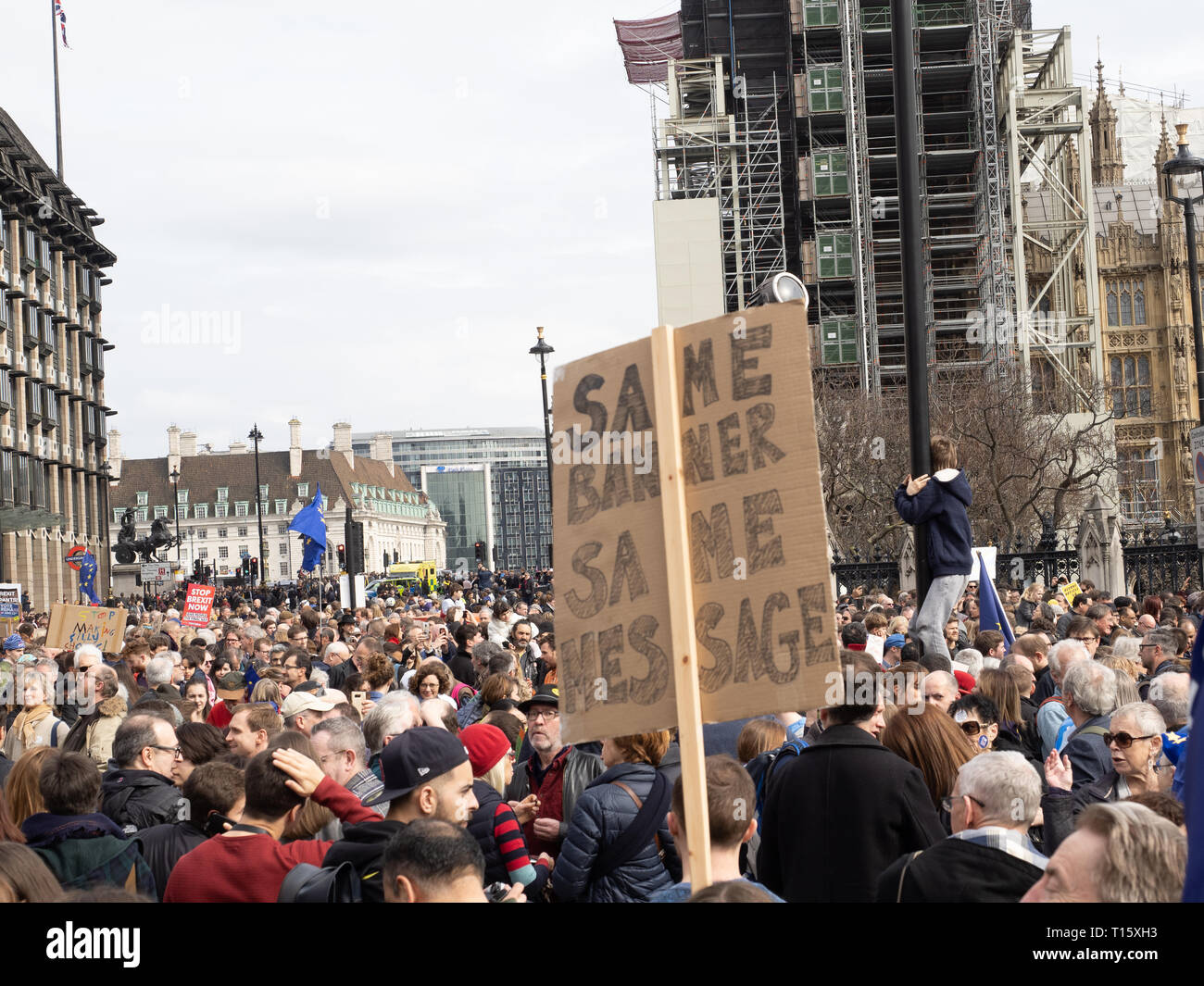 London, UK. 23rd Mar, 2019. Over 1 million people came down to London today to demand another vote on Brexit. Photography by Ghene Snowdon Credit: Ghene Snowdon/Alamy Live News Stock Photo