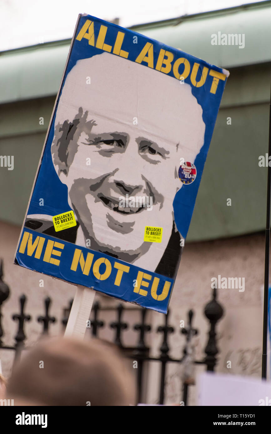 London, UK. 23rd Mar, 2019. Peoples Vote March, London. Crowd detail and banners as taken from the perspective of a protester. Remain banners, second referendum. Credit: Tony Pincham/Alamy Live News Stock Photo