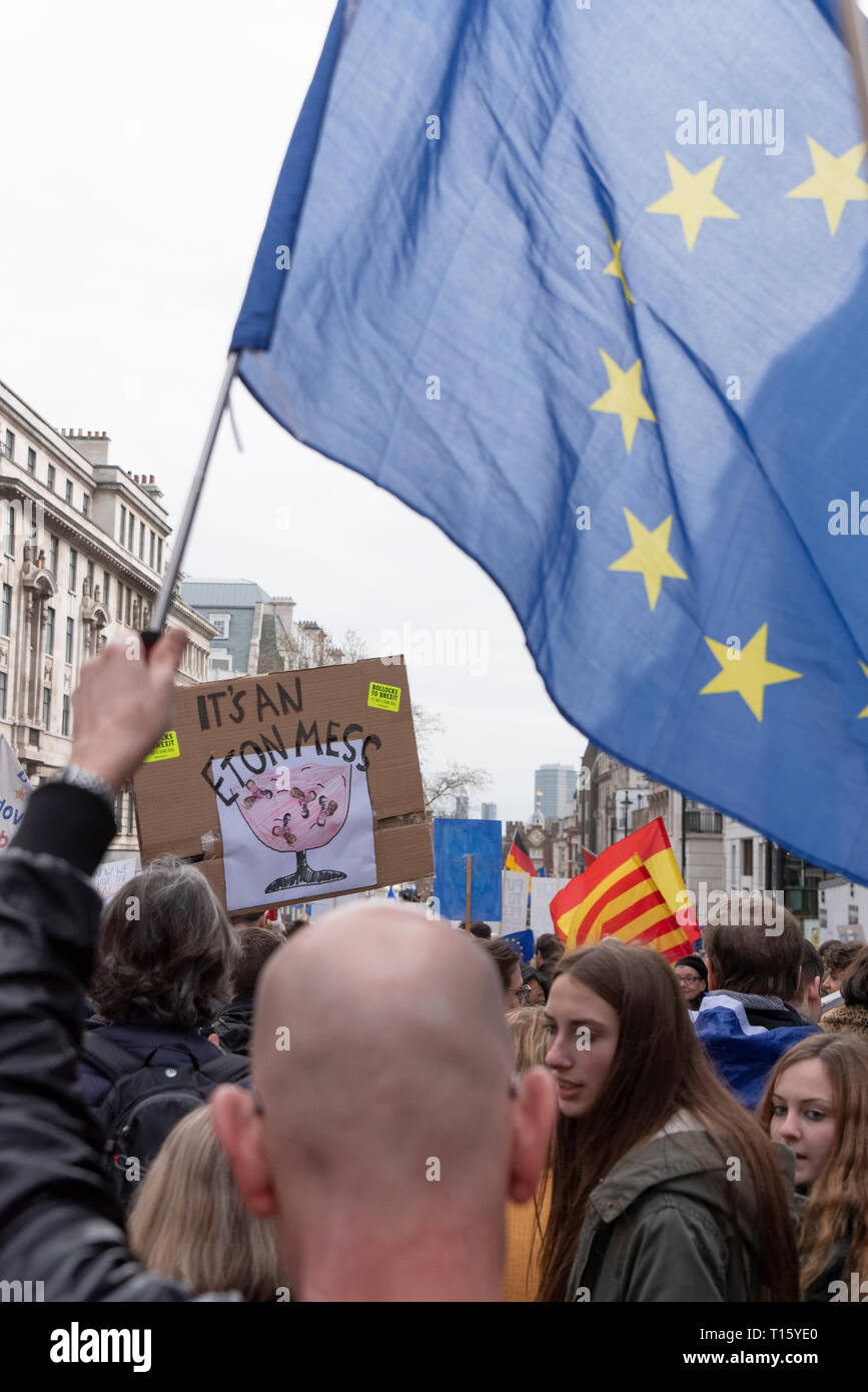 London, UK. 23rd Mar, 2019. Peoples Vote March, Eton Mess placard. Crowd detail and banners as taken from the perspective of a protester. Remain banners, second referendum. Credit: Tony Pincham/Alamy Live News Stock Photo