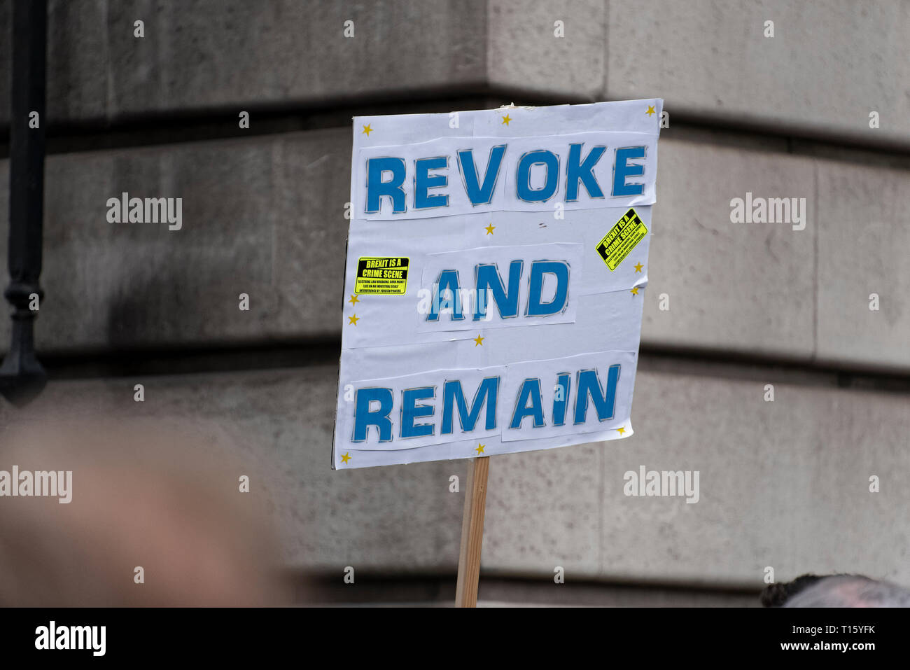 London, UK. 23rd Mar, 2019. Peoples Vote March, London. Crowd detail and banners as taken from the perspective of a protester. Remain banners, second referendum. Credit: Tony Pincham/Alamy Live News Stock Photo