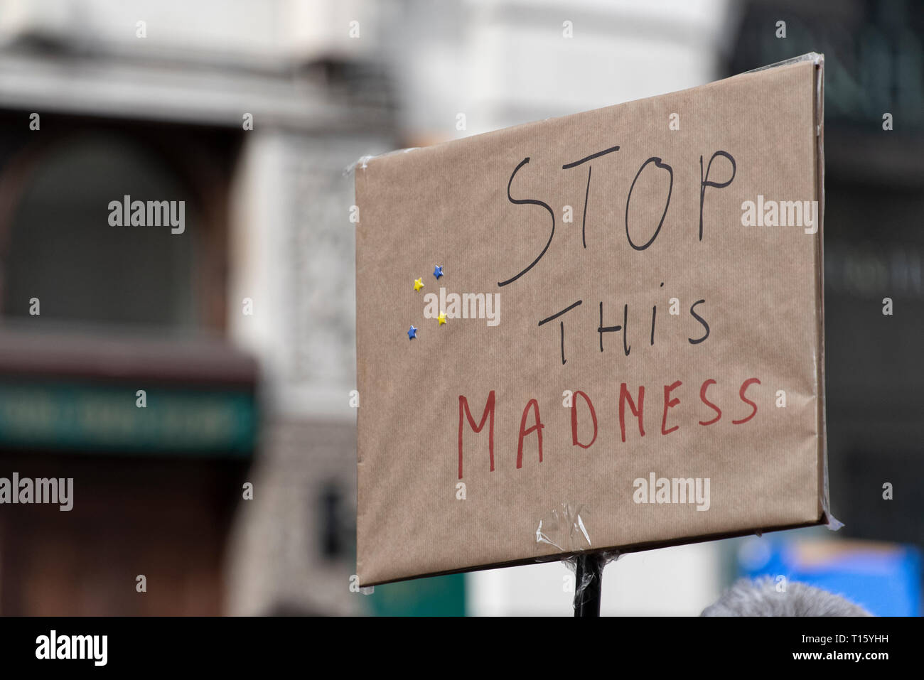 London, UK. 23rd Mar, 2019. Peoples Vote March, Stop This Madness placard. Crowd detail and banners as taken from the perspective of a protester. Remain banners, second referendum. Credit: Tony Pincham/Alamy Live News Stock Photo