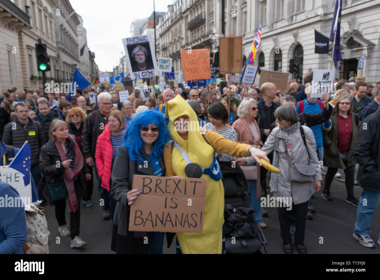 London, UK. 23rd Mar, 2019. Peoples Vote March, Crowd detail and banners as taken from the perspective of a protester. Remain banners, second referendum. Credit: Tony Pincham/Alamy Live News Stock Photo