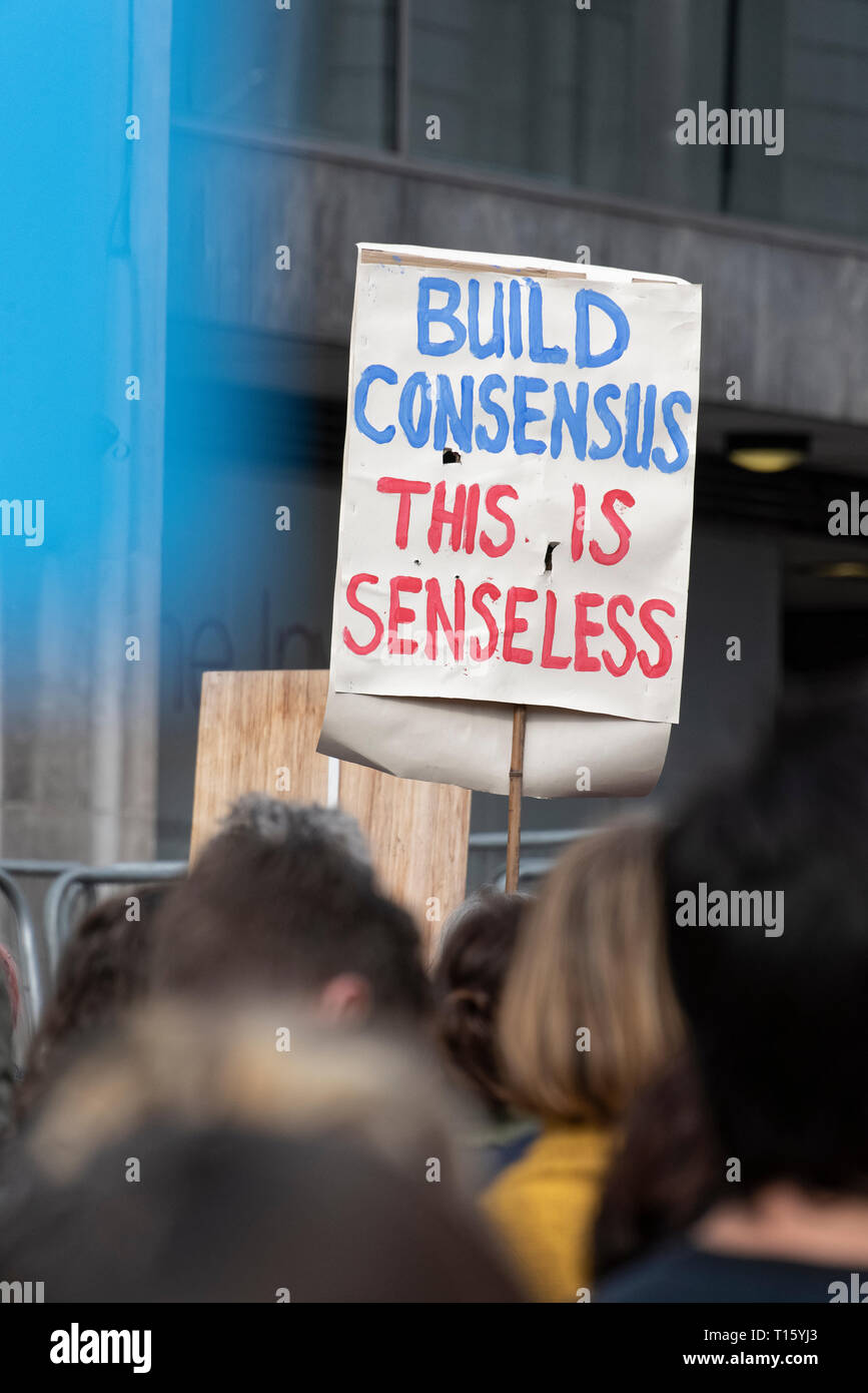 London, UK. 23rd Mar, 2019. Peoples Vote March, Build Consensus, This is Senseless placard. Crowd detail and banners as taken from the perspective of a protester. Remain banners, second referendum. Credit: Tony Pincham/Alamy Live News Stock Photo