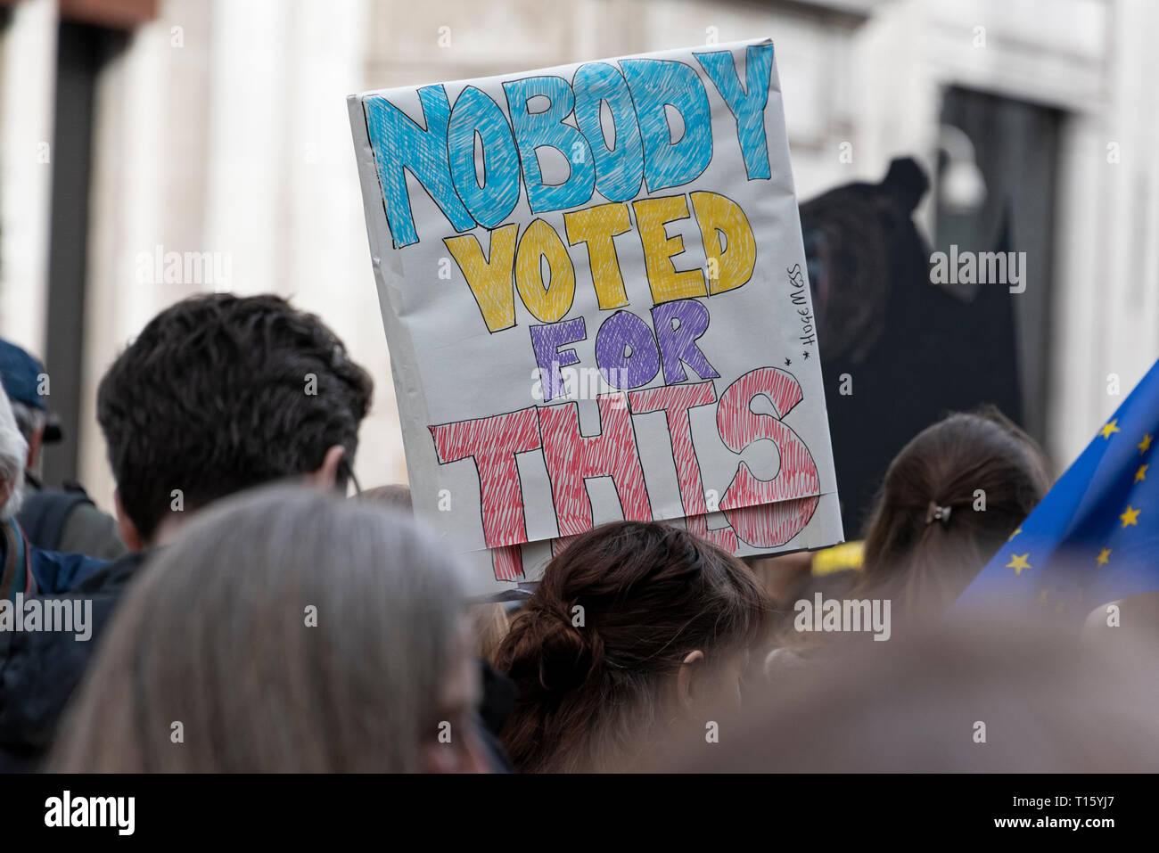 London, UK. 23rd Mar, 2019. Peoples Vote March, Nobody Voted for THIS placard. Crowd detail and banners as taken from the perspective of a protester. Remain banners, second referendum. Credit: Tony Pincham/Alamy Live News Stock Photo