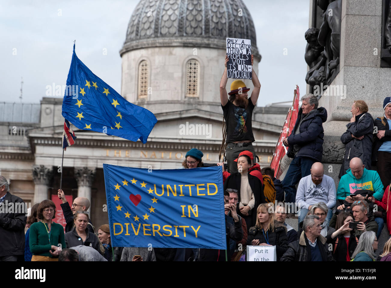 London, UK. 23rd Mar, 2019. Peoples Vote March, Nelsons Column, crown EU flag. Crowd detail and banners as taken from the perspective of a protester. Remain banners, second referendum. Credit: Tony Pincham/Alamy Live News Stock Photo