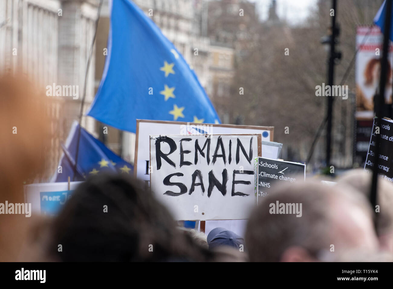 London, UK. 23rd Mar, 2019. Peoples Vote March, Remain Sane placard. Crowd detail and banners as taken from the perspective of a protester. Remain banners, second referendum. Credit: Tony Pincham/Alamy Live News Stock Photo