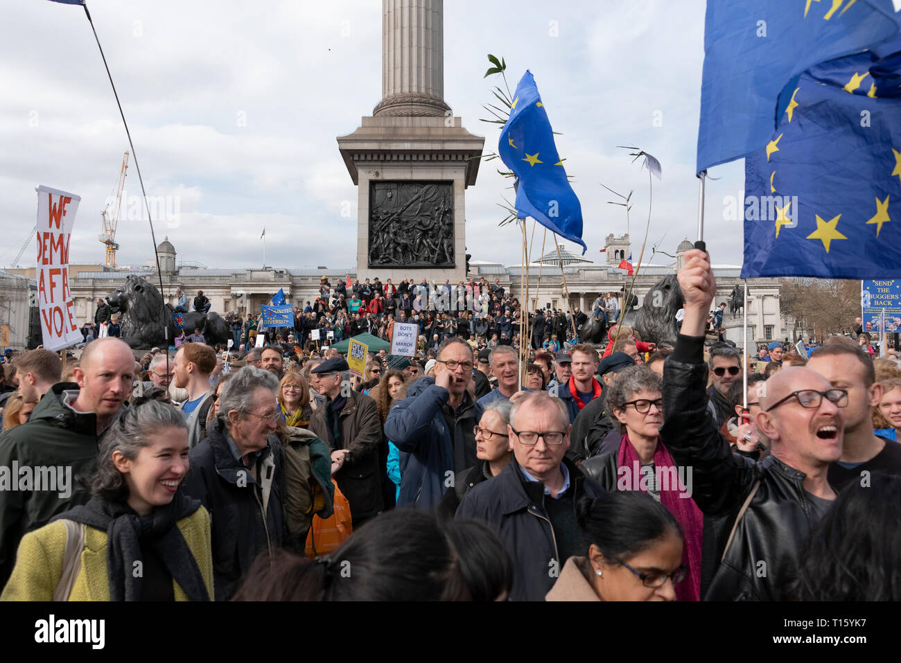 London, UK. 23rd Mar, 2019. Peoples Vote March, Trafalgar Square. Crowd detail and banners as taken from the perspective of a protester. Remain banners, second referendum. Credit: Tony Pincham/Alamy Live News Stock Photo