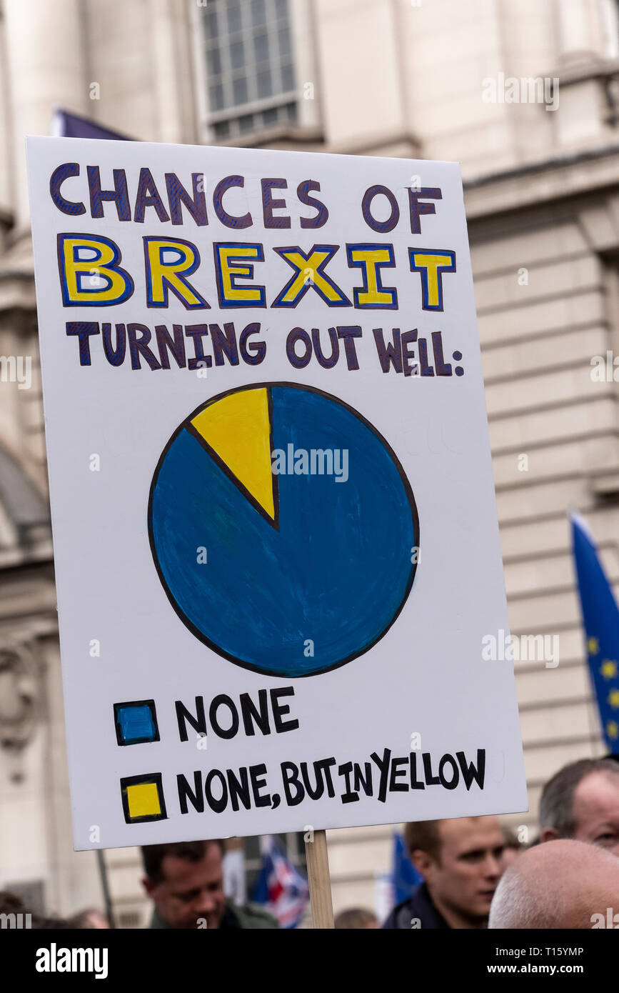 London, UK. 23rd Mar, 2019. Peoples Vote March, Pie chart humour. Crowd detail and banners as taken from the perspective of a protester. Remain banners, second referendum. Credit: Tony Pincham/Alamy Live News Stock Photo