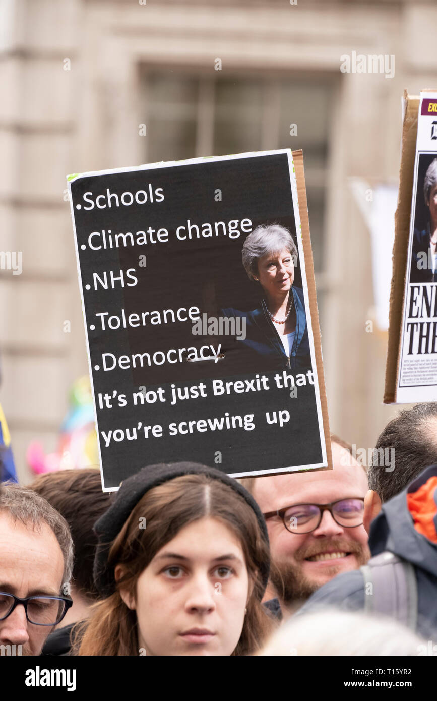 London, UK. 23rd Mar, 2019. Peoples Vote March, Placard about distracted government. Crowd detail and banners as taken from the perspective of a protester. Remain banners, second referendum. Credit: Tony Pincham/Alamy Live News Stock Photo