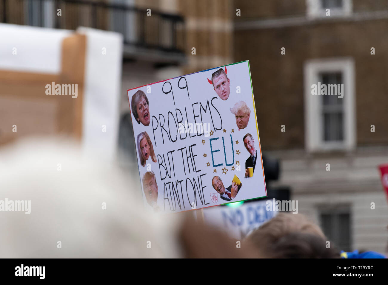 London, UK. 23rd Mar, 2019. Peoples Vote March, 99 Problems placard. Crowd detail and banners as taken from the perspective of a protester. Remain banners, second referendum. Credit: Tony Pincham/Alamy Live News Stock Photo