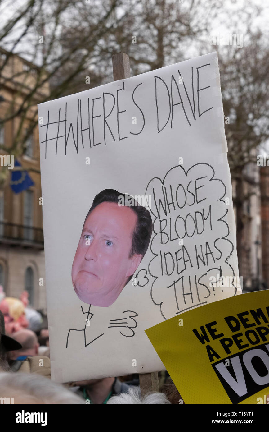 London, UK. 23rd Mar, 2019. Peoples Vote March, Cameron on the Run placard. Crowd detail and banners as taken from the perspective of a protester. Remain banners, second referendum. Credit: Tony Pincham/Alamy Live News Stock Photo