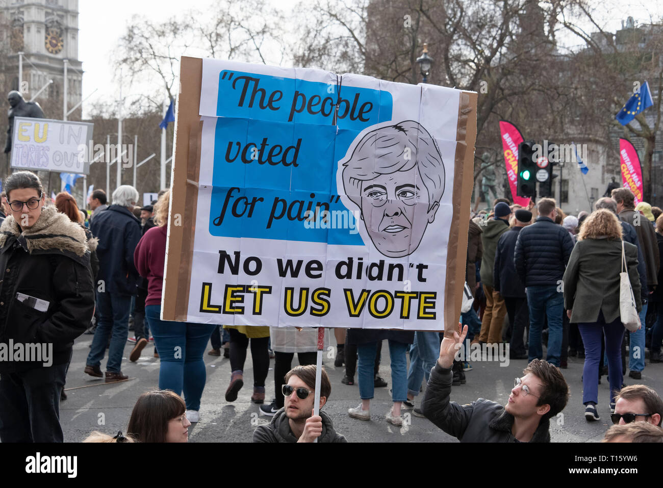 London, UK. 23rd Mar, 2019. Peoples Vote March, Theresa banner. Crowd detail and banners as taken from the perspective of a protester. Remain banners, second referendum. Credit: Tony Pincham/Alamy Live News Stock Photo