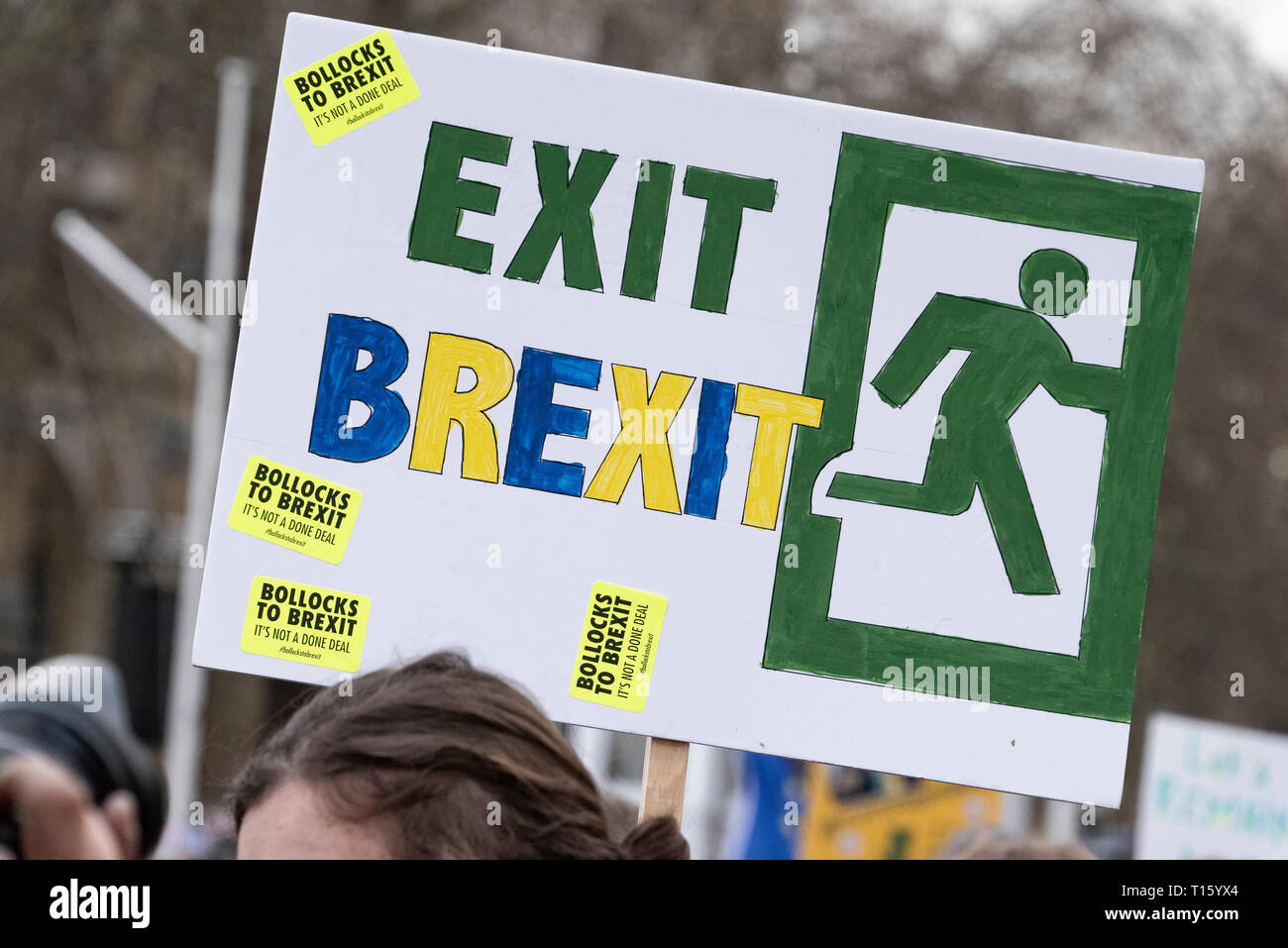 London, UK. 23rd Mar, 2019. Peoples Vote March, Exit Brexit. Crowd detail and banners as taken from the perspective of a protester. Remain banners, second referendum. Credit: Tony Pincham/Alamy Live News Stock Photo