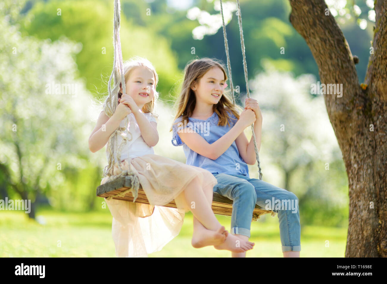 Two cute sisters having fun on a swing in blossoming old apple tree garden outdoors on sunny spring day. Spring outdoor activities for kids. Stock Photo