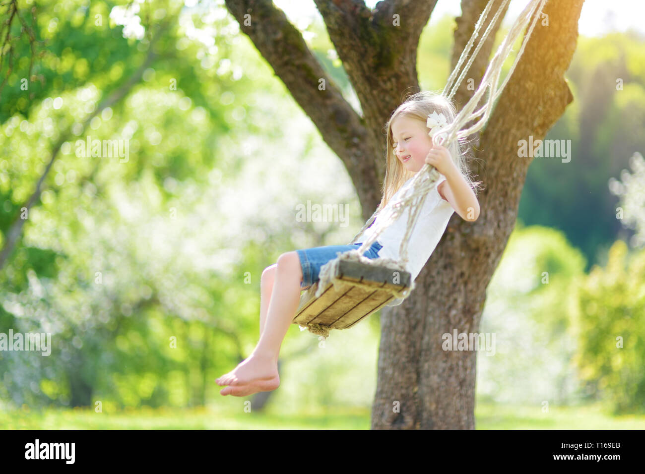Cute little girl having fun on a swing in blossoming old apple tree ...