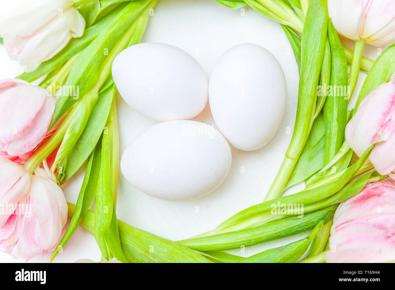 Spring greeting card. Easter eggs in nest and pink fresh tulip flowers ...