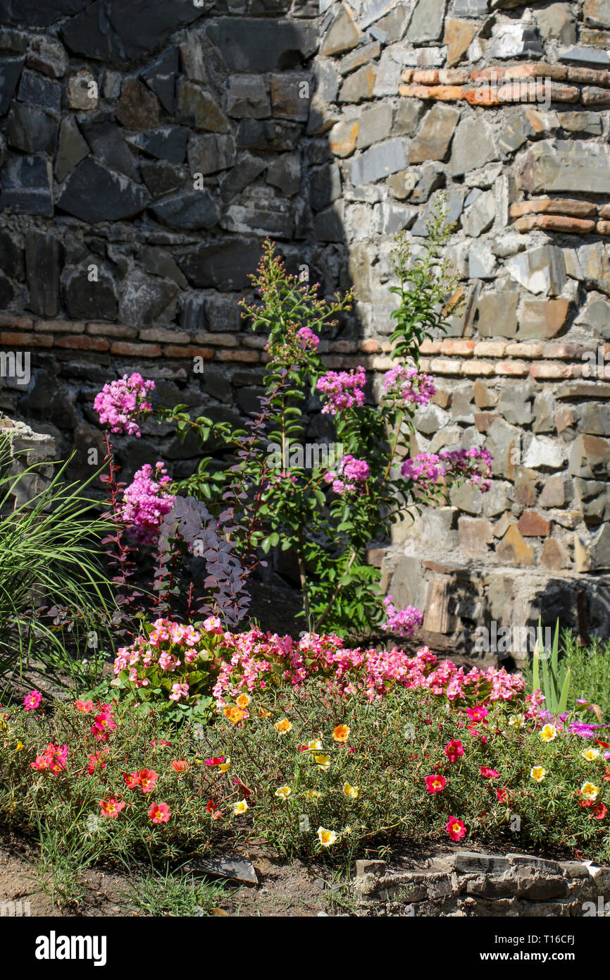 Beautiful fresh flowers as a nature background Stock Photo - Alamy