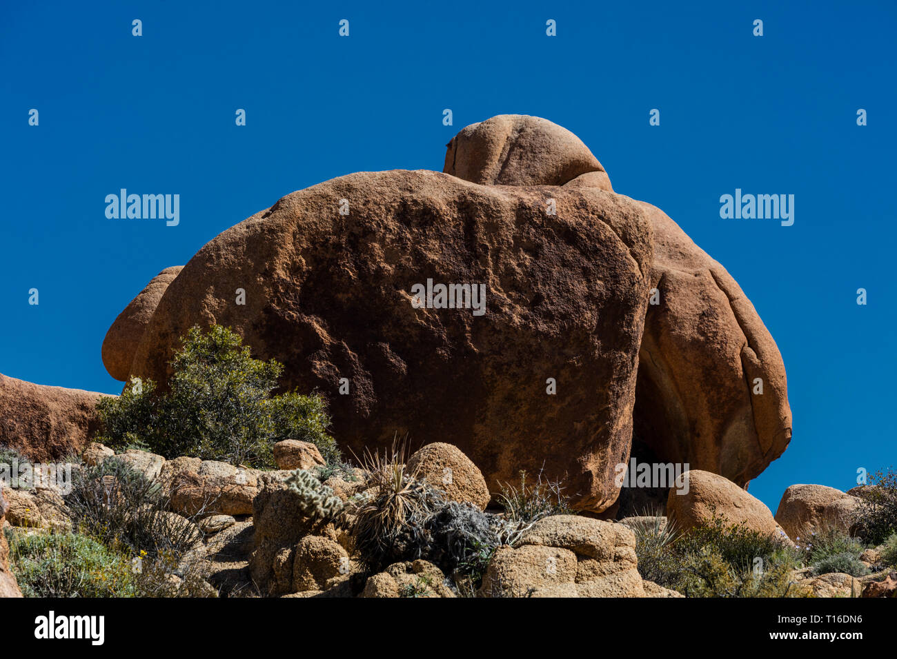 The hike to Lost Palms Oasis has many increible rock formations  - JOSHUA TREE NATIONAL PARK, CALIFORNIA Stock Photo