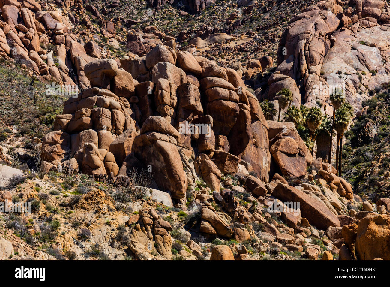 The hike to Lost Palms Oasis has many increible rock formations  - JOSHUA TREE NATIONAL PARK, CALIFORNIA Stock Photo