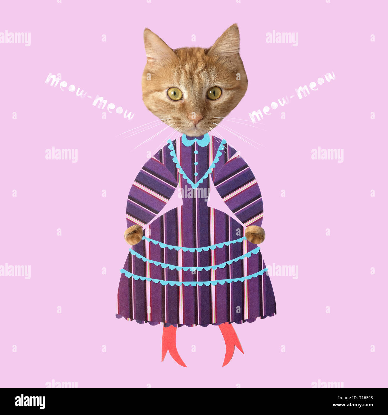 Creative cut out dress on cat with lettering meow. Ginger cat in striped  vintage dress and with red boots. Vaporwave style concept Stock Photo -  Alamy