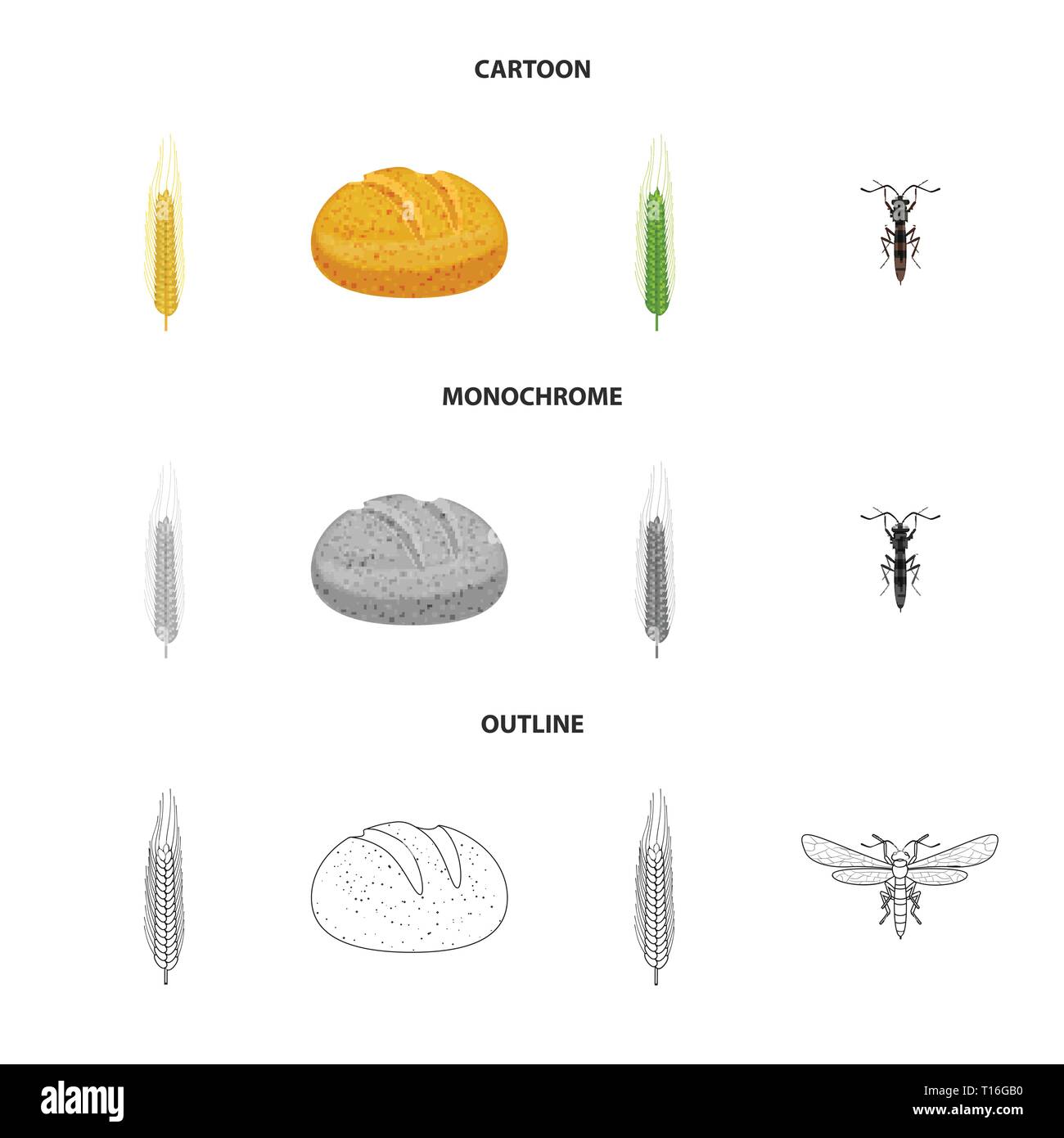 bread,fly,winter,insect,spring,pest,spike,food,control,durum,breakfast ...