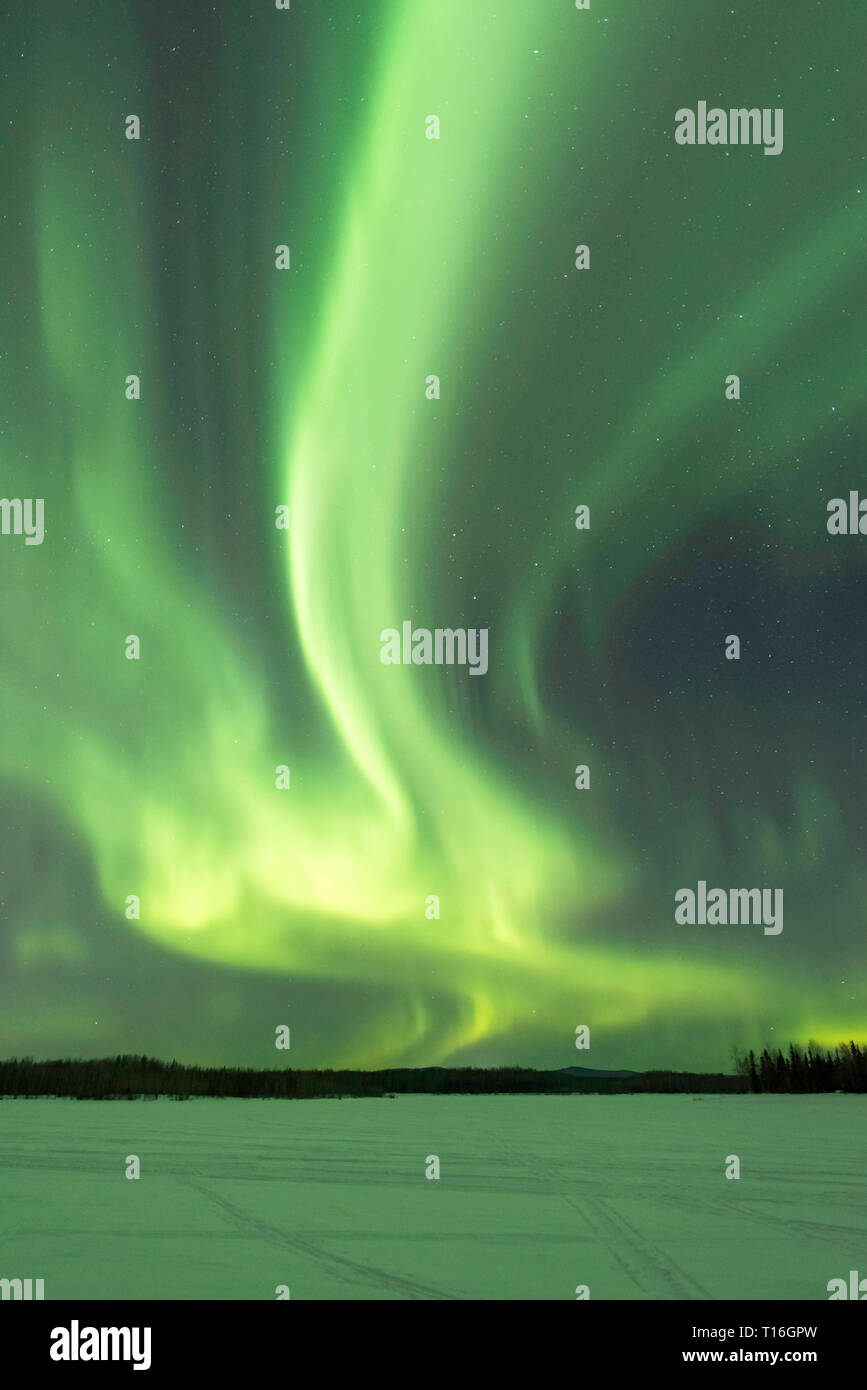 Aurora borealis at Chena Lakes in Alaska Stock Photo Alamy