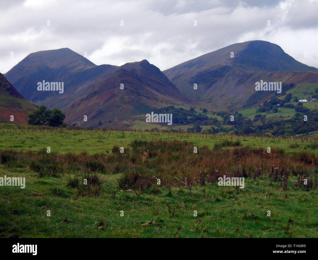 The Wainwrights Hindscarth & Robinson from near Little Town in the Newlands Valley, Lake District National Park, Cumbria, England, UK. Stock Photo