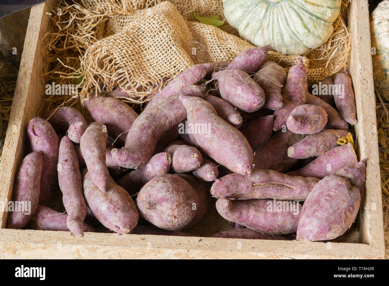 Yams Harvested From The Garden To Prepare In The Basket Stock Photo Alamy Yams Harvested From The Garden To Prepare In The Basket Stock Photo Alamy