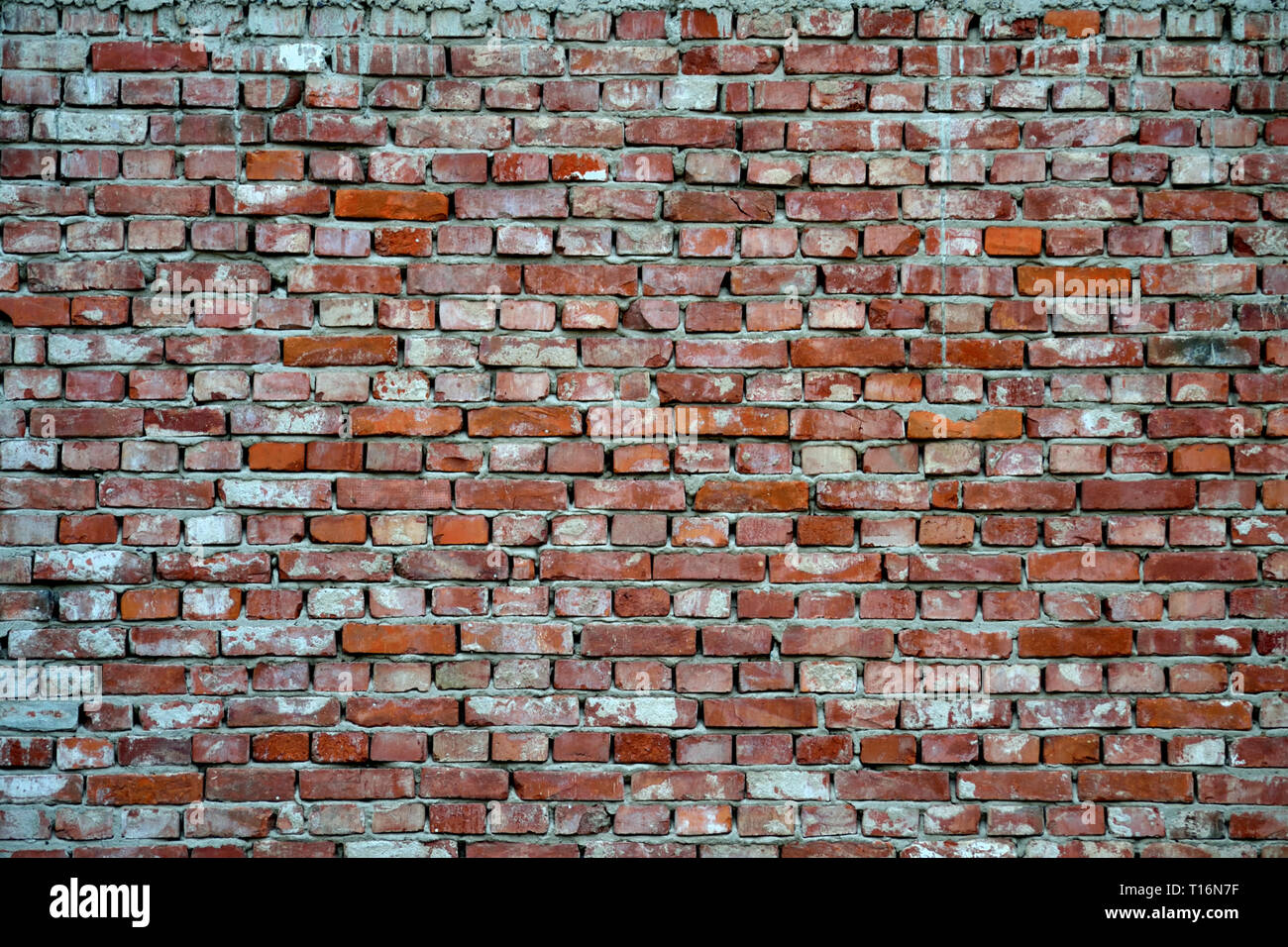 Old brick wall Stock Photo