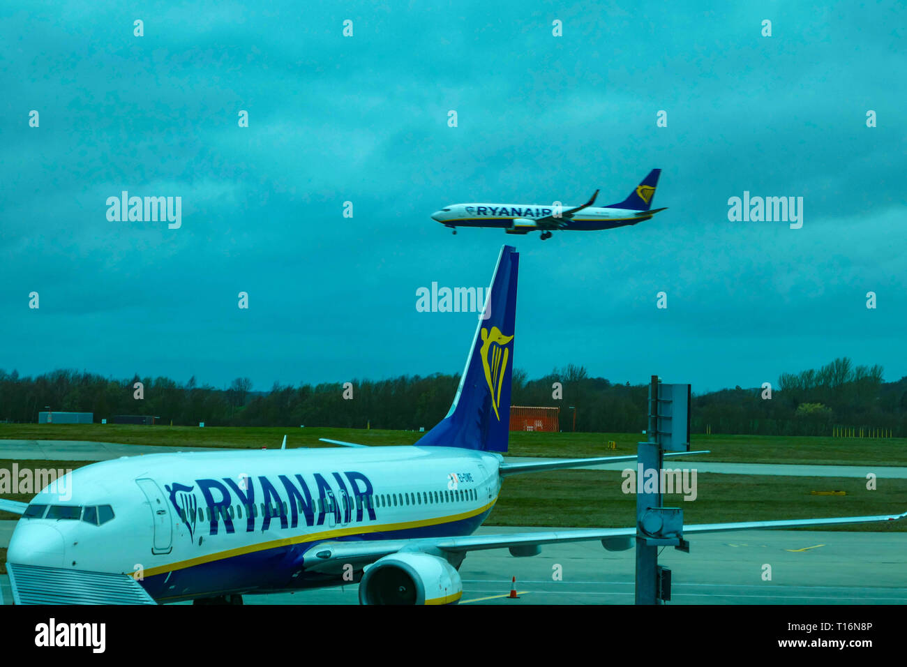 Ryanair budget carrier, Boeing 737, airline, Stansted Airport, London