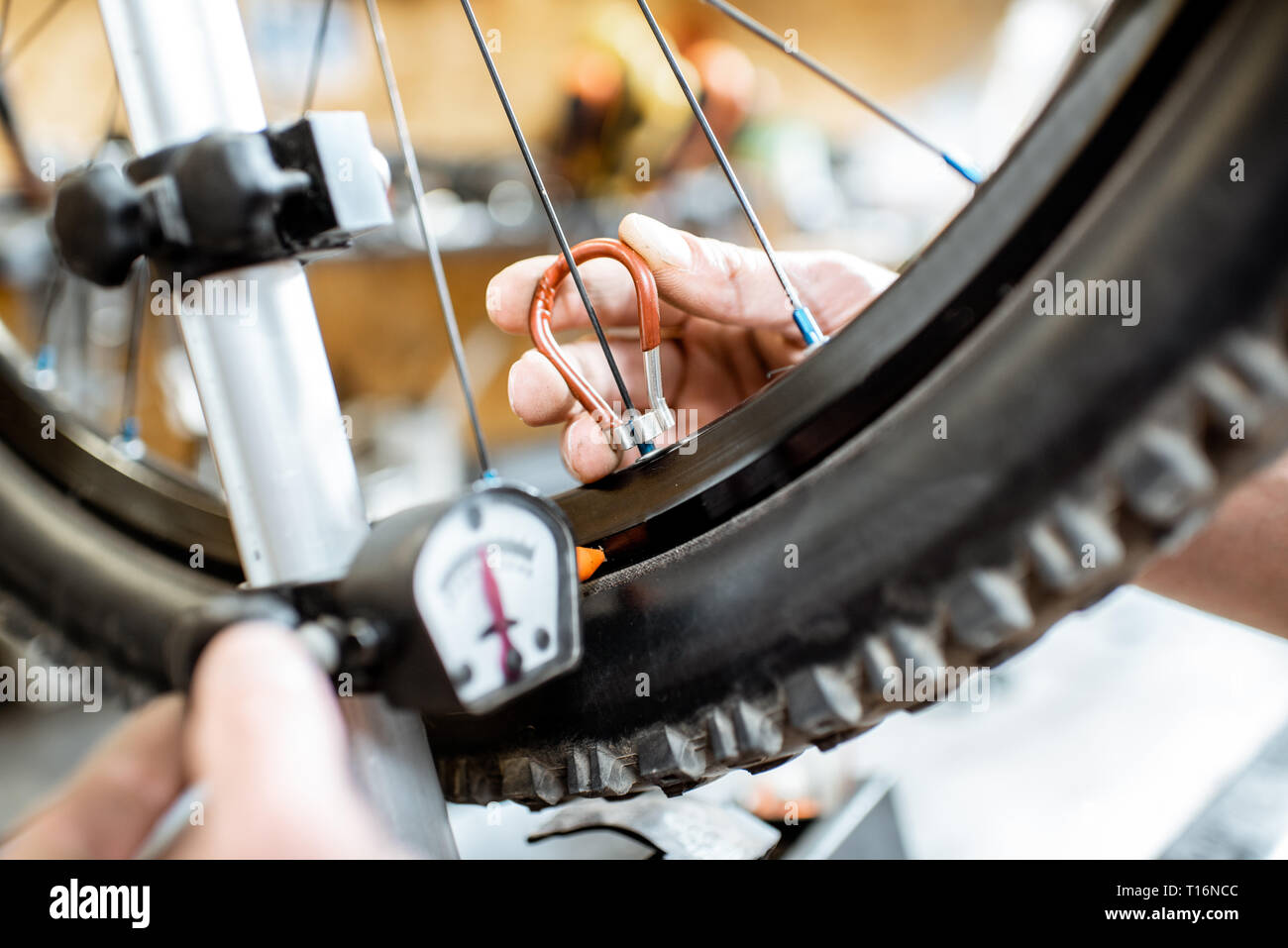 Man aligning bicycle wheel tensing spokes with a special key at the ...