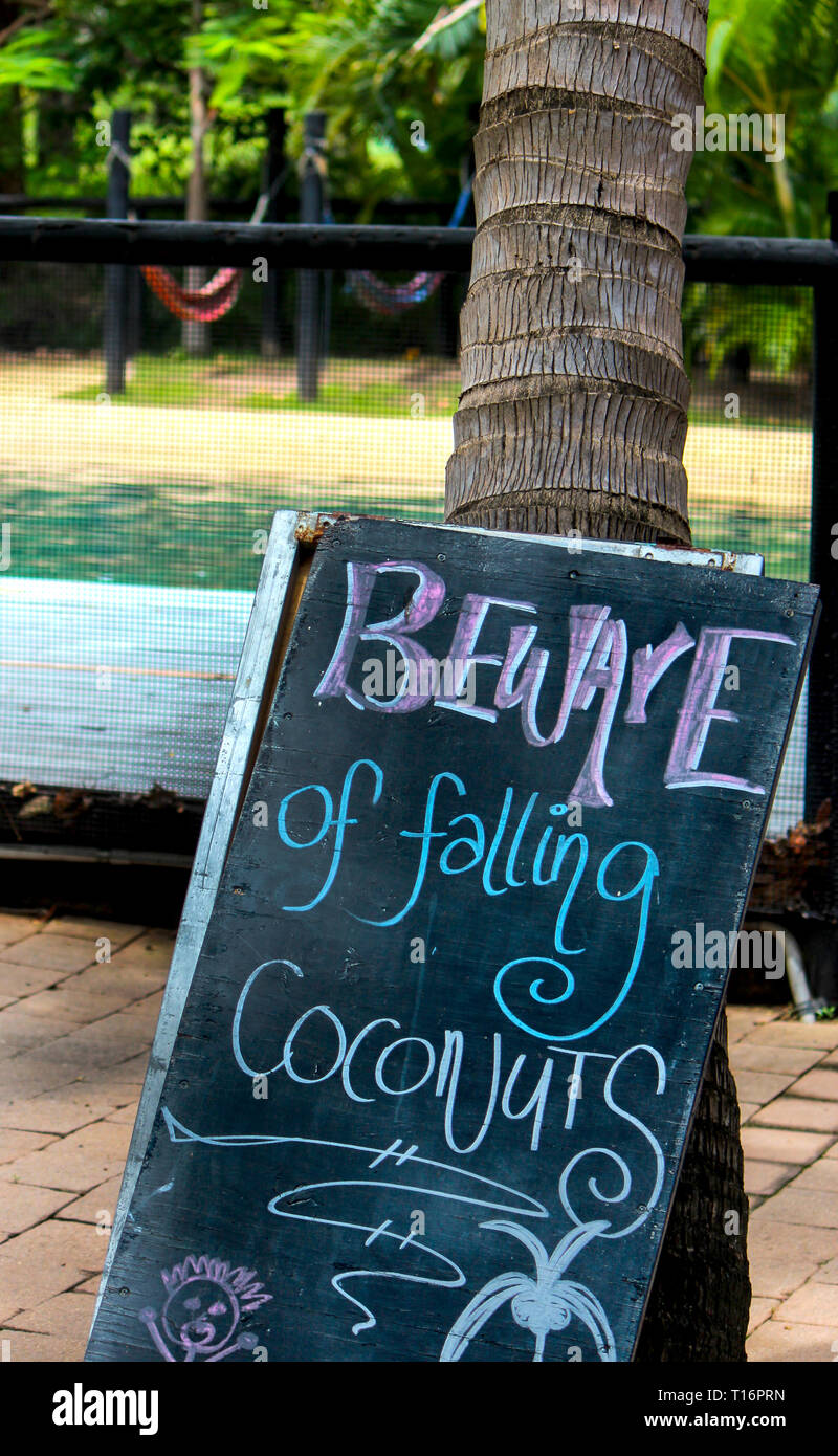 beware of falling coconut, funny warning sign in australia Stock Photo