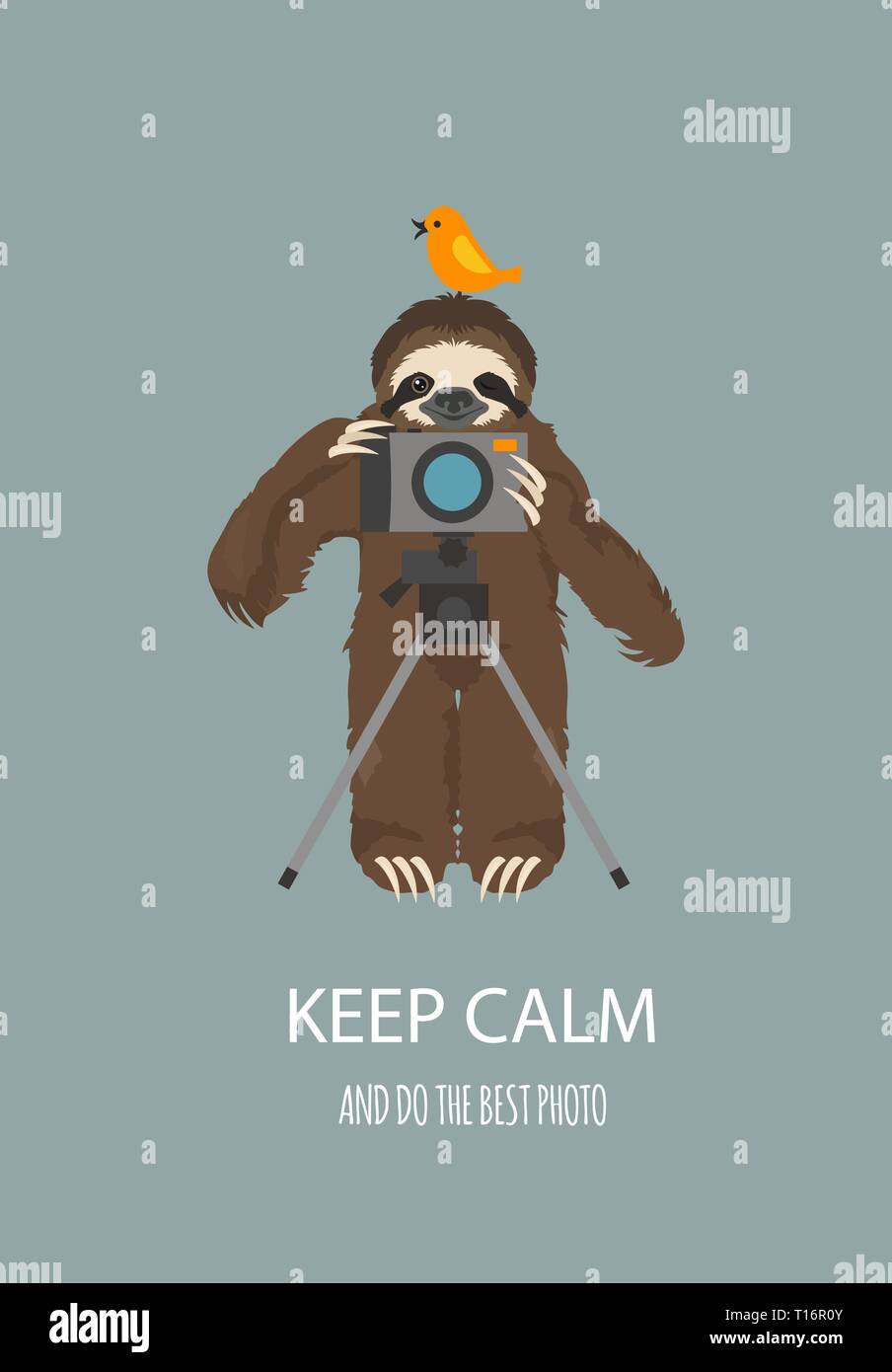 The story of one sloth. Traveling, holiday. Funny cartoon sloths in ...