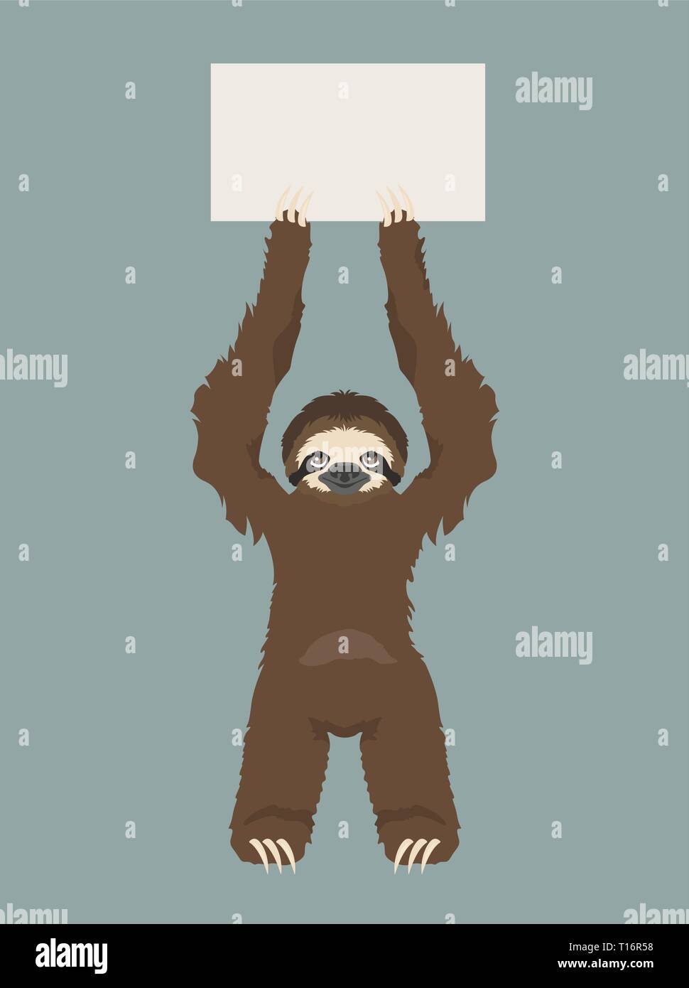 Sloth is holding a banner. Place for your advertising text. Funny cartoon animals. Vector illustration Stock Vector