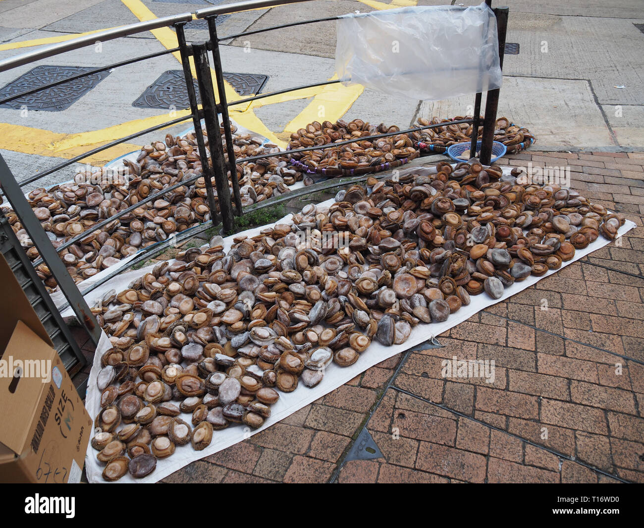 Abalone culture hires stock photography and images Alamy