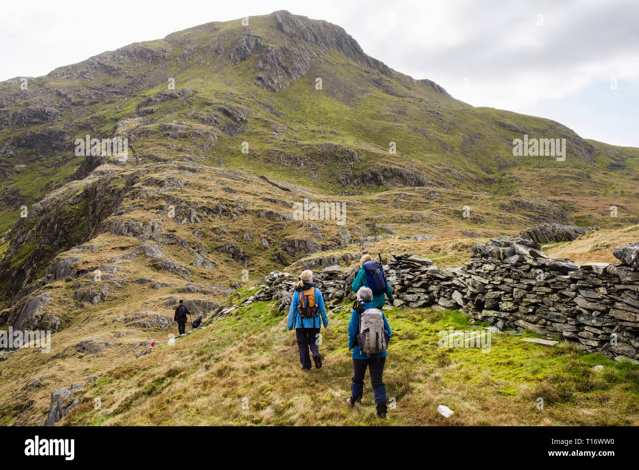 Hikers hiking up Yr Aran mountain from Bwlch Cwm Llan in mountains of Snowdonia National Park. Gwynedd, Wales, UK, Britain Stock Photo