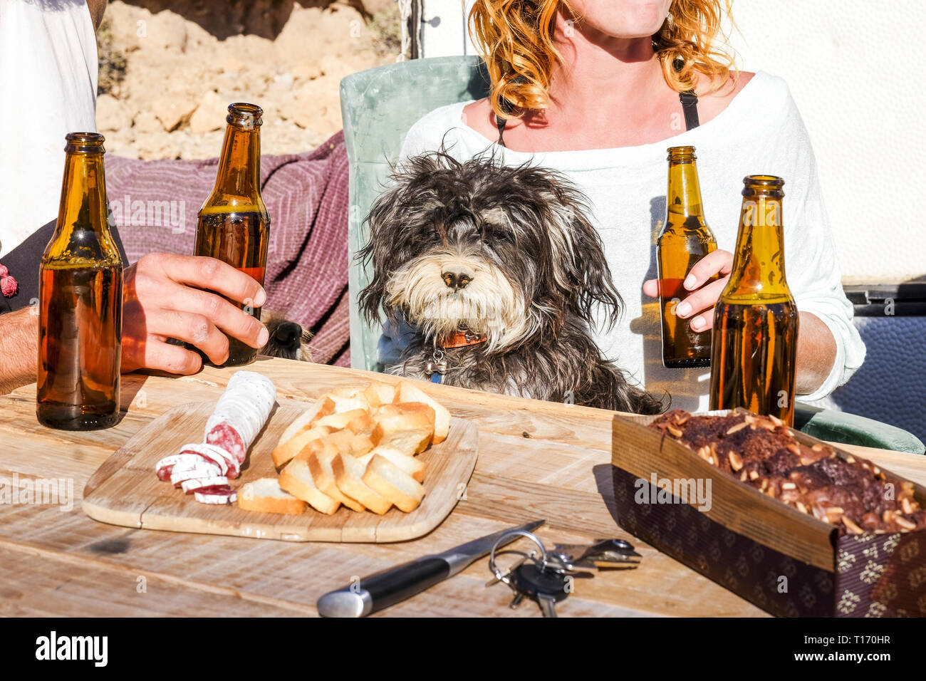 Portrait of sad interested dog looking at food salami and vread sitting on a table with humans friends drinking beer Stock Photo