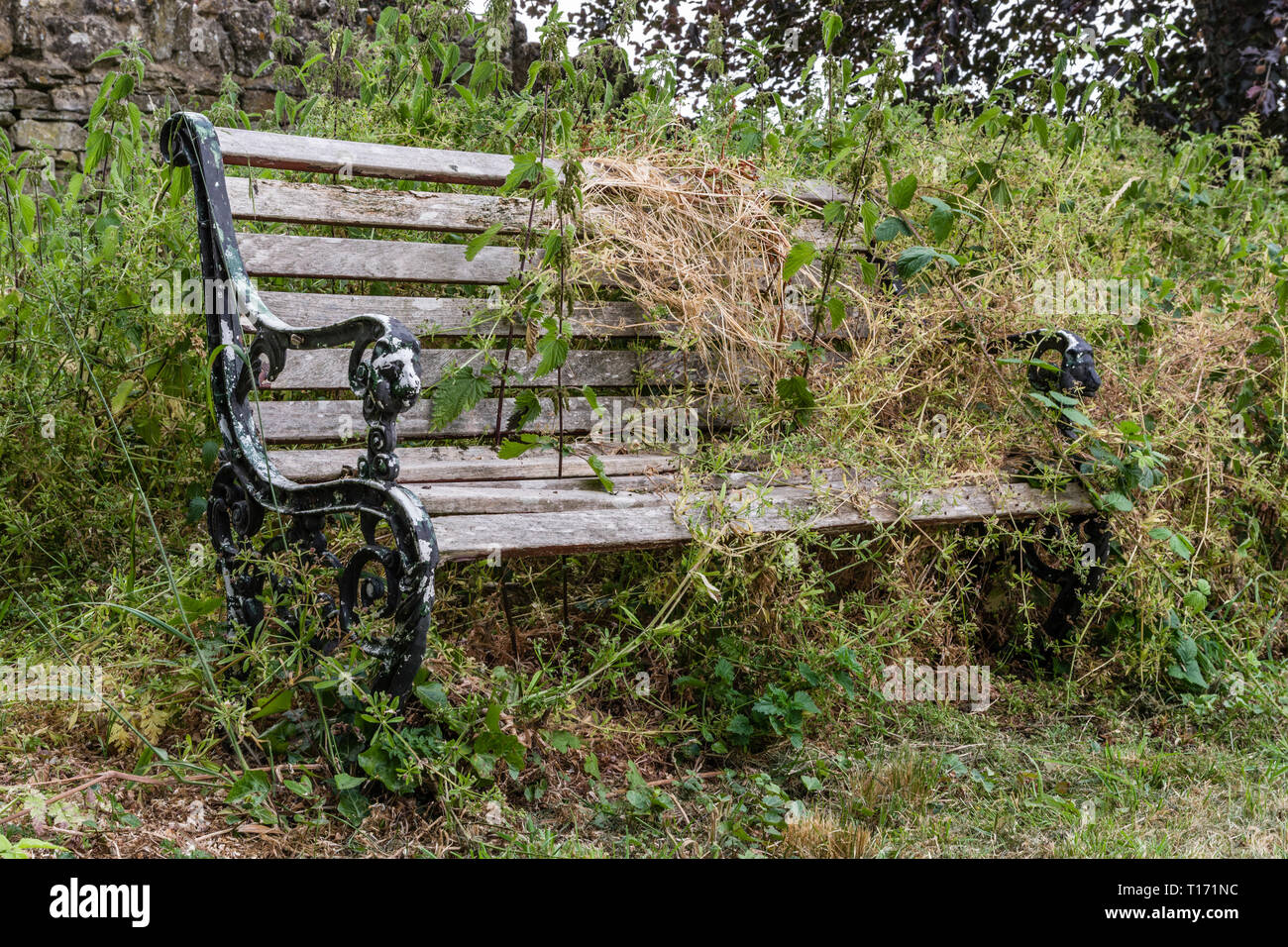 Old wooden bench overgrown with weeds and grasses in a country churchyard, UK Stock Photo