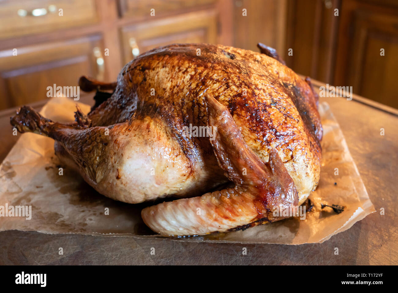 Thanksgiving turkey in the United States Stock Photo