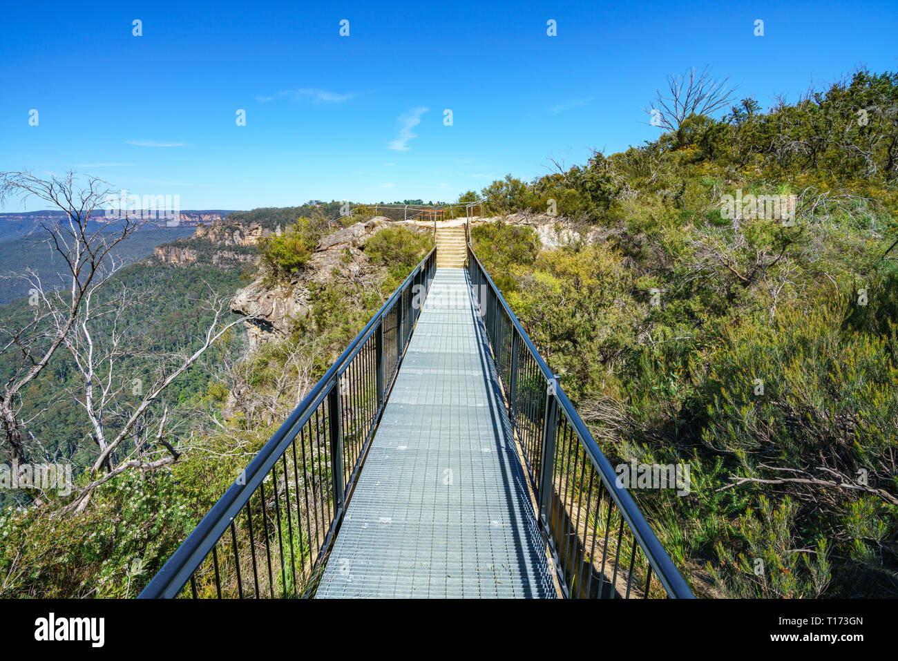 hiking to elysian rock lookout, prince henry cliff walk, blue mountains national park, australia Stock Photo