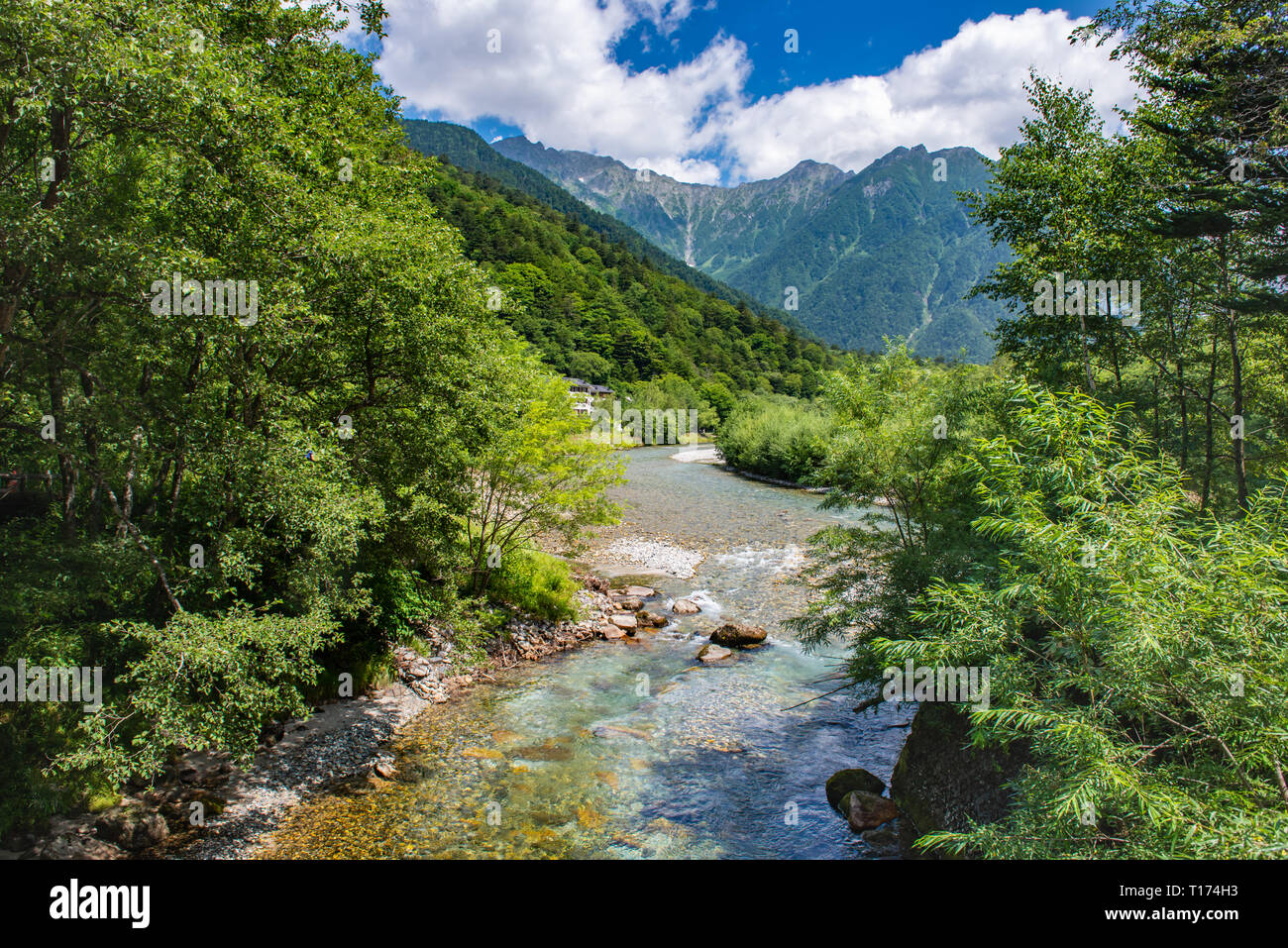 River and Summer Forest Landscape,Pathway at Kamikochi in Japan Stock ...