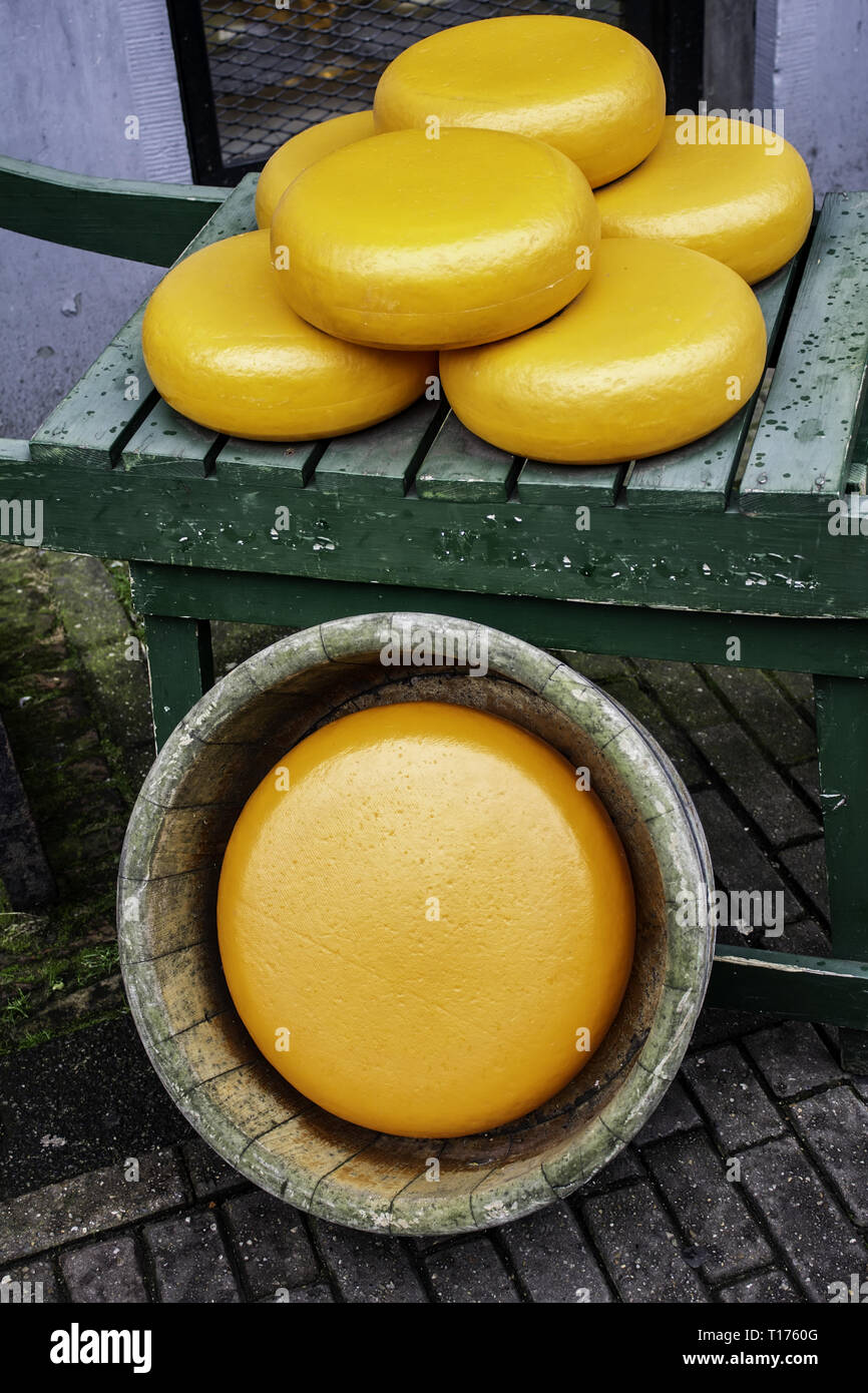 Artisan edam cheese, detail of Dutch cheese making Stock Photo Alamy