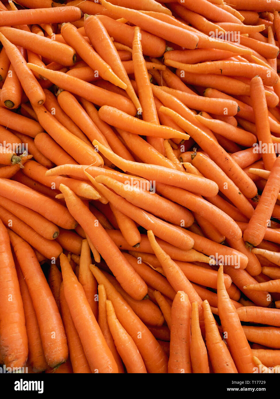 Top view of fresh carrots in the grocery store. Stock Photo